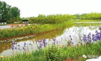 青水最新爆料,娱乐圈幕后真相大曝光！