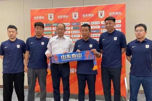 徐江爆料泰山事件视频,真相背后引人深思